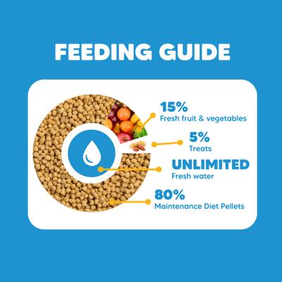 Show full view: Vetafarm Maintenance Diet Bird Food for Parrots, 12.3-oz bag slide 5 of 11