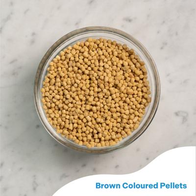 Show full view: Vetafarm Maintenance Diet Bird Food for Parrots, 12.3-oz bag slide 4 of 11