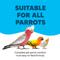 Show in main carousel: Vetafarm Maintenance Diet Bird Food for Parrots, 4.4-lb bag slide 6 of 11