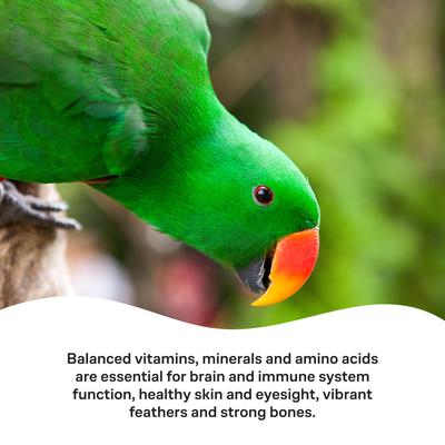 Show full view: Vetafarm Multivet Liquid Bird Supplement, 3.4-oz bottle slide 6 of 11