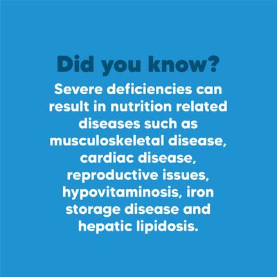 Show full view: Vetafarm Multivet Liquid Bird Supplement, 3.4-oz bottle slide 7 of 11