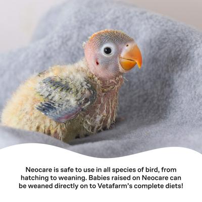 Show full view: Vetafarm Neocare Hand Feeding Baby Bird Food, 1-lb bag slide 6 of 11
