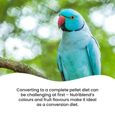 Show full view: Vetafarm Nutriblend Small Pellet Bird Food for Parrots, 4.4-lb bag slide 6 of 11