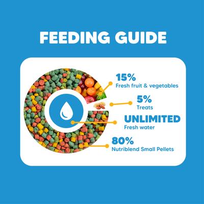 Show full view: Vetafarm Nutriblend Small Pellet Bird Food for Parrots, 4.4-lb bag slide 5 of 11