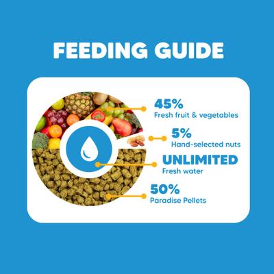 Show full view: Vetafarm Paradise Pellets Bird Food for Parrots, 4.4-lb bag slide 5 of 11