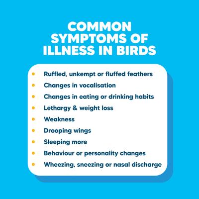 Show full view: Vetafarm Poly-Aid Plus First Aid Bird Supplement, 2.8-oz jar slide 7 of 11