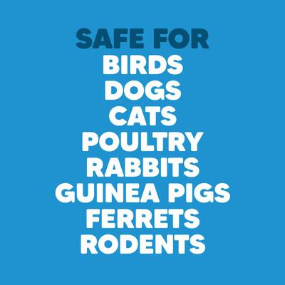 Show full view: Vetafarm Probotic Bird Supplement, 3.1-oz jar slide 7 of 11