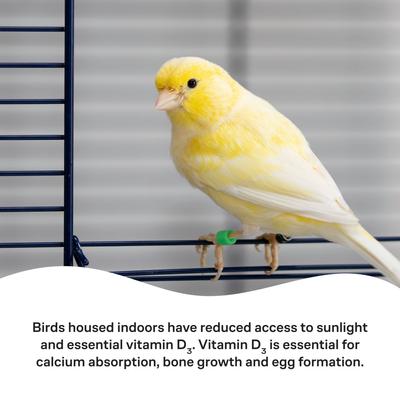 Show full view: Vetafarm Soluvite D Breeder Bird Supplement, 1.1-lb jar slide 6 of 11