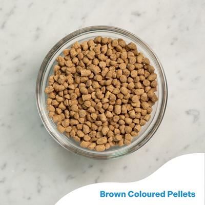 Show full view: Vetafarm South American Mix Bird Food for Birds, 12.3-oz bag slide 4 of 11