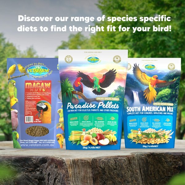 Vetafarm South American Mix Bird Food for Birds