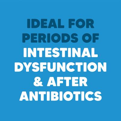 Show full view: Vetafarm Synbiotic Avian Bird Supplement, 3.5-oz bottle slide 7 of 11