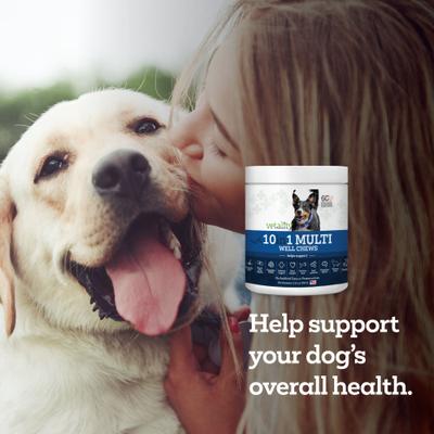Show full view: Vetality 10in1 Multi Well Bites Dog Supplement, 60 count slide 7 of 9