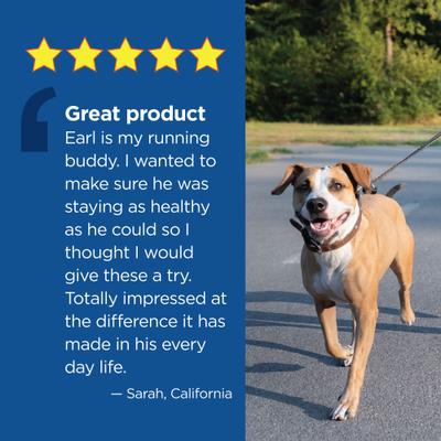 Show full view: Vetality 10in1 Multi Well Bites Dog Supplement, 60 count slide 5 of 9