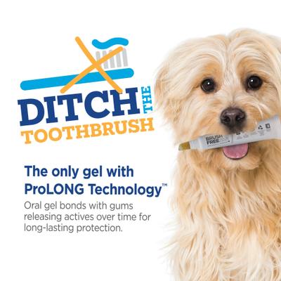 Show full view: Vetality Brush Free Oral Gel Dental Care for Dogs, 0.88-fl oz bottle slide 6 of 7