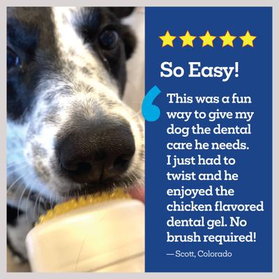 Show full view: Vetality Brush Free Twist & Lick Chicken Flavored Dental Gel for Dogs, 2-fl oz bottle slide 3 of 9