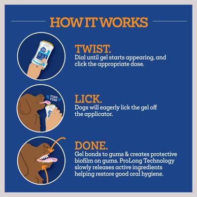 Show full view: Vetality Brush Free Twist & Lick Chicken Flavored Dental Gel for Dogs, 2-fl oz bottle slide 6 of 9