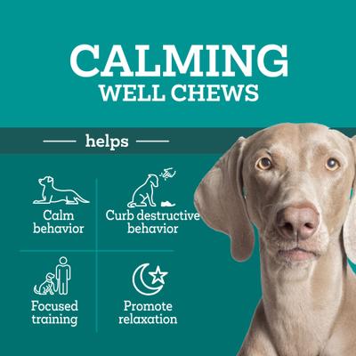 Show full view: Vetality Calming Well Bites Dog Supplement, 60 count slide 5 of 9