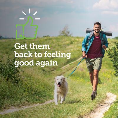 Show full view: Vetality Canine Aspirin for Dogs, 120 count slide 3 of 9