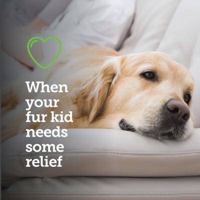 Show full view: Vetality Canine Aspirin for Dogs, 120 count slide 8 of 9