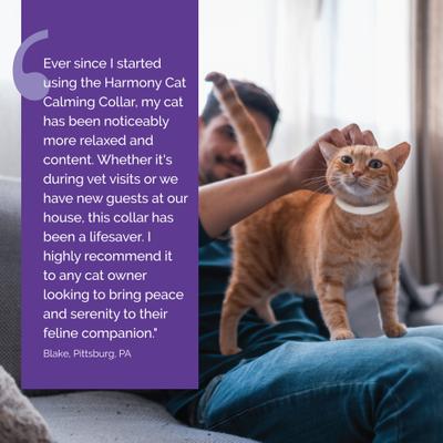 Show full view: Vetality Harmony Pet Calming Collar for Cats slide 8 of 8