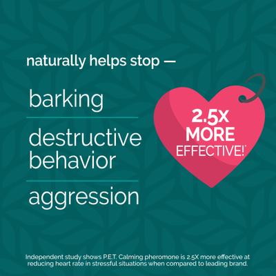 Show full view: Vetality Harmony Pet Calming Collar for Dogs slide 4 of 8