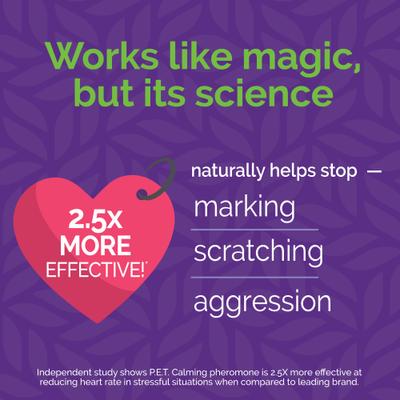 Show full view: Vetality Harmony Pet Calming Home Diffuser for Cats slide 4 of 10