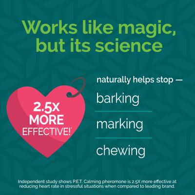 Show full view: Vetality Harmony Pet Calming Home Diffuser for Dogs slide 4 of 10