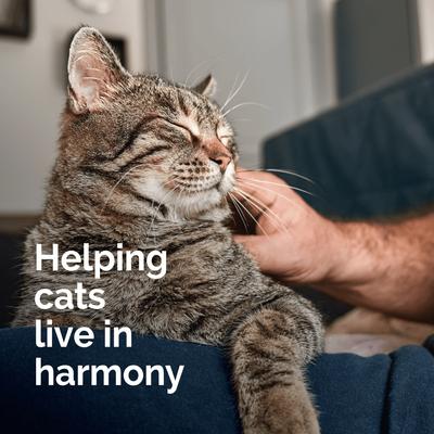 Show full view: Vetality Harmony Pet Calming Home Diffuser Refill for Cats, 2 count slide 7 of 10