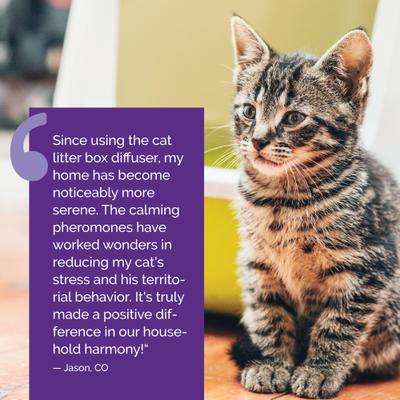 Show full view: Vetality Harmony Pet Calming Litter Box Diffuser slide 8 of 10