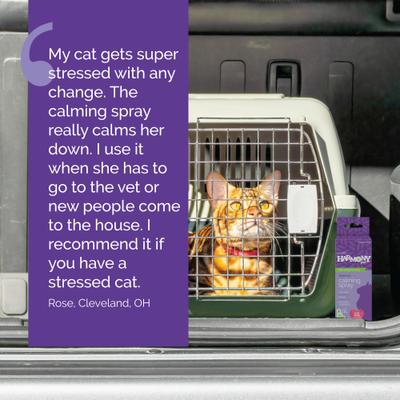 Show full view: Vetality Harmony Pet Calming Spray for Cats, 1.62-fl oz slide 8 of 9