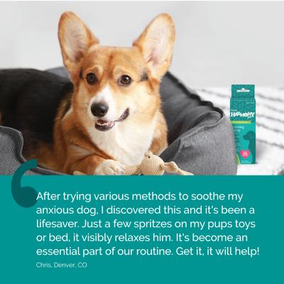 Show full view: Vetality Harmony Pet Calming Spray for Dogs, 1.62-fl oz slide 8 of 9