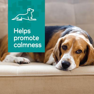 Show full view: Vetality Hemp Helpers Collar for Dogs, Medium slide 6 of 11