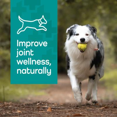 Show full view: Vetality Hemp Helpers Collar for Dogs, Medium slide 7 of 11