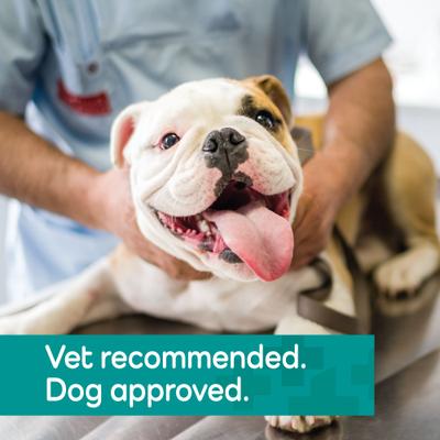 Show full view: Vetality Hemp Helpers Collar for Dogs, Medium slide 8 of 11