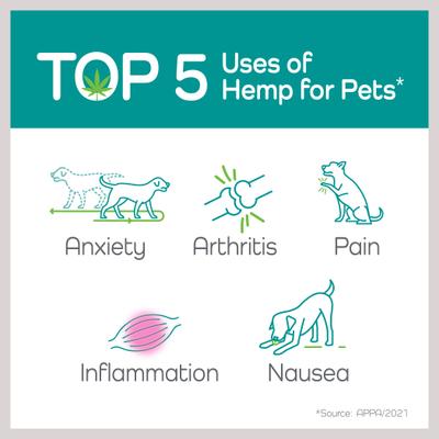 Show full view: Vetality Hemp Helpers Collar for Dogs, Medium slide 9 of 11