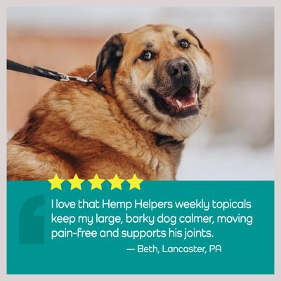 Show full view: Vetality Hemp Helpers Topical for Dogs, 3-ml, 4 count, Over 55-lb slide 5 of 11