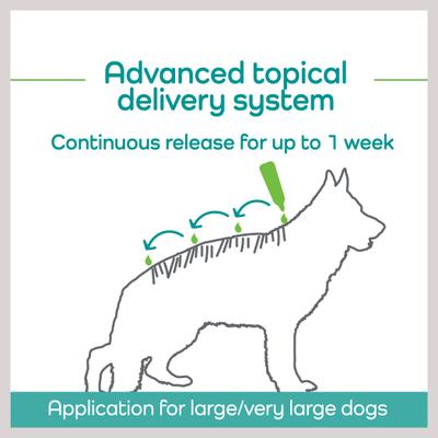 Show full view: Vetality Hemp Helpers Topical for Dogs, 3-ml, 4 count, Over 55-lb slide 6 of 11