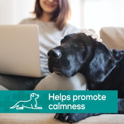 Show full view: Vetality Hemp Helpers Topical for Dogs, 3-ml, 4 count, Over 55-lb slide 7 of 11