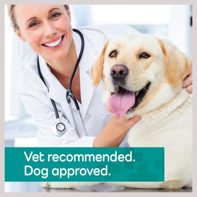 Show full view: Vetality Hemp Helpers Topical for Dogs, 3-ml, 4 count, Over 55-lb slide 9 of 11