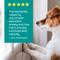 Show in main carousel: Vetality Hemp Helpers Topical for Dogs, 3-ml, 4 count, Under 33-lb slide 5 of 11