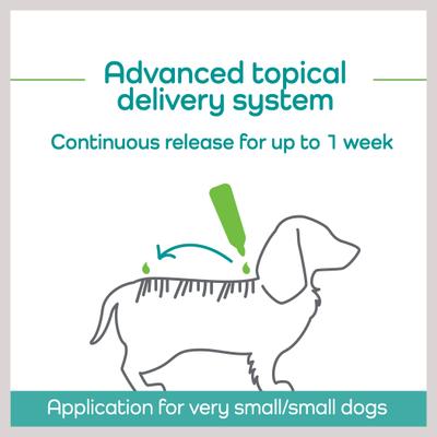 Show full view: Vetality Hemp Helpers Topical for Dogs, 3-ml, 4 count, Under 33-lb slide 6 of 11