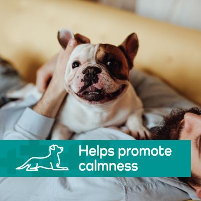 Show full view: Vetality Hemp Helpers Topical for Dogs, 3-ml, 4 count, Under 33-lb slide 7 of 11