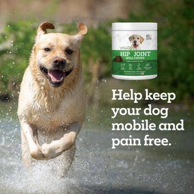 Show full view: Vetality Hip & Joint Well Bites Dog Supplement, 60 count slide 7 of 10