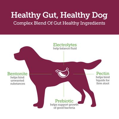 Show full view: Vetality Stop the Runs Anti Diarrhea Medication for Dogs, 6 count slide 5 of 8