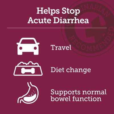Show full view: Vetality Stop the Runs Anti Diarrhea Medication for Dogs, 6 count slide 6 of 8