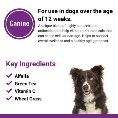 Show full view: VetClassics Antioxidants with Coenzyme Q-10 Chewable Tablets Dog Supplement, 120 count slide 8 of 10