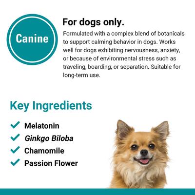 Show full view: VetClassics Anxiety & Stress Calming Support Soft Chews Dog Supplement, 120 count slide 8 of 9