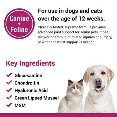 Show full view: VetClassics ArthriEase-GOLD Hip & Joint Support Powder Dog & Cat Supplement, 5-oz bottle slide 8 of 10