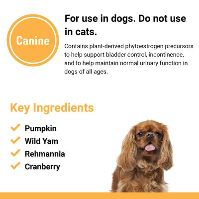 Show full view: VetClassics Bladder Support Urinary Tract & Incontinence Support Dog Supplement, 60 count slide 6 of 7