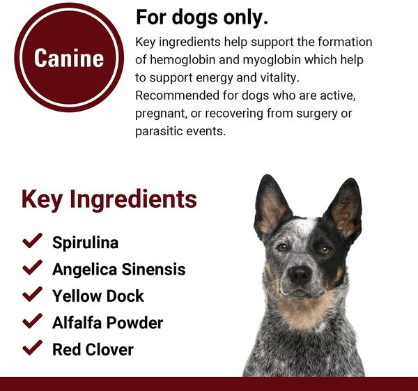 Show full view: VetClassics Blood & Energy Blood & Endurance Support Chewable Tablets Dog Supplement, 120 count slide 7 of 8